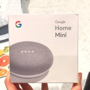 Google home mini